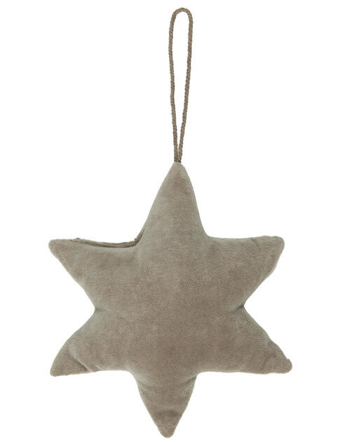 Velurová šedá hvězda