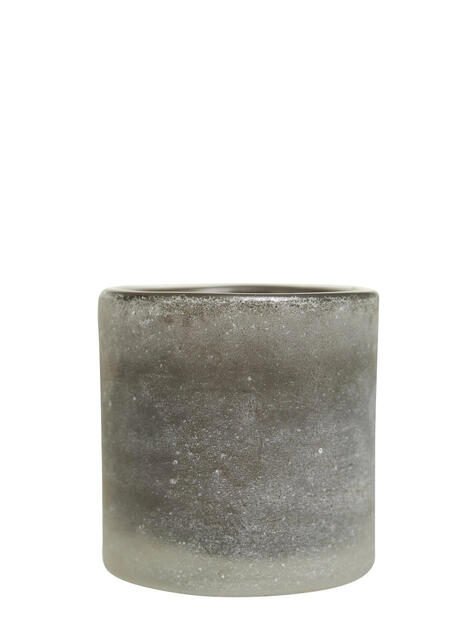 Svícen menší šedý