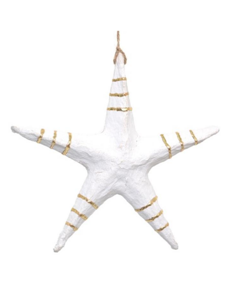 Hvězda z Papírmaše