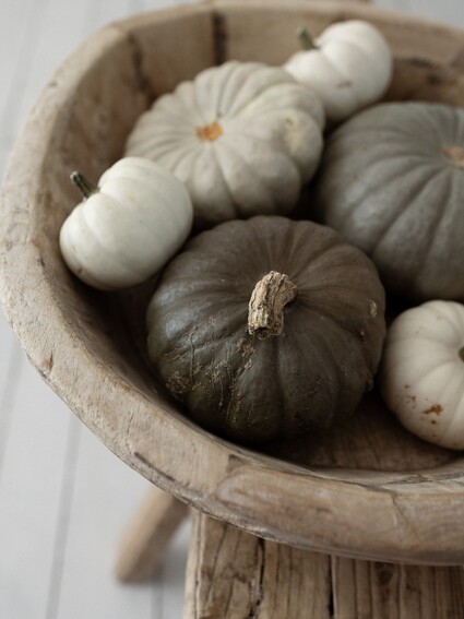 Podzimní večery 🤍

#pumpkin #autumn #evenings